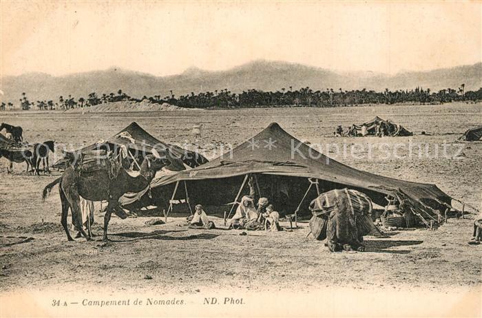 Kamel  Camel Chameau Campement de Nomades