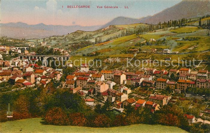Bellegarde du Loiret Vue Generale