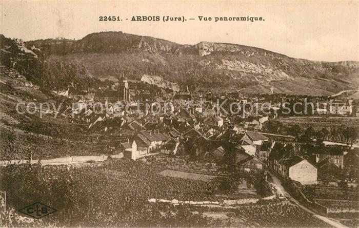 Arbois Vue panoramique