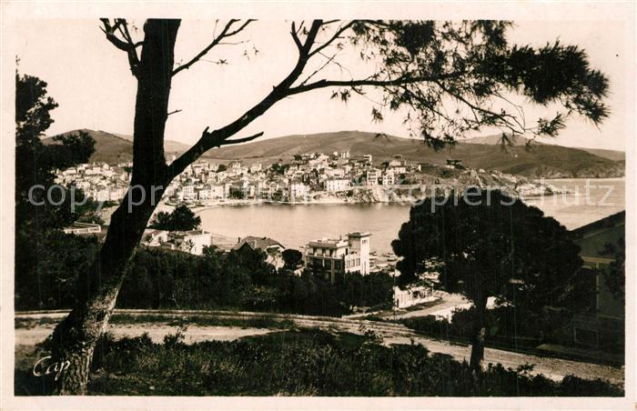 Banyuls-sur-Mer Vue a travers les pins Côte Golf du Lion Côte d Azur