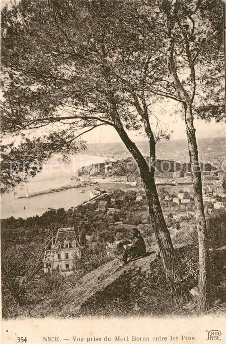Nice Alpes Maritimes Vue prise du Mont Boron entre les pins Côte d Azur