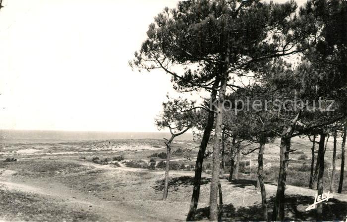 Sion sur Ocean La Forêt de Sion Paysage