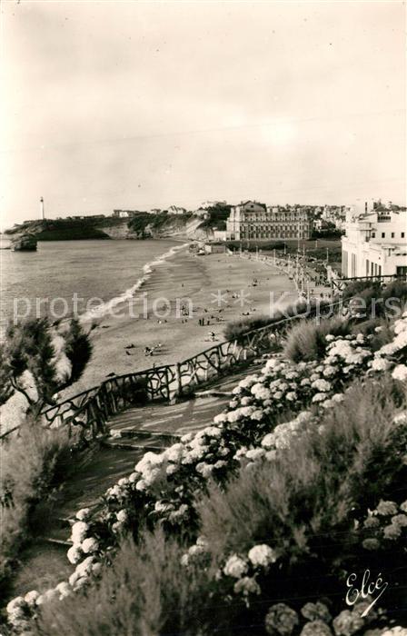 Biarritz Pyrenees Atlantiques La grande plage avec les Hortensias