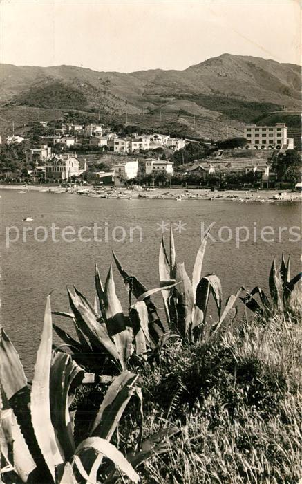 Banyuls-sur-Mer Panorama la baie et bord de mer