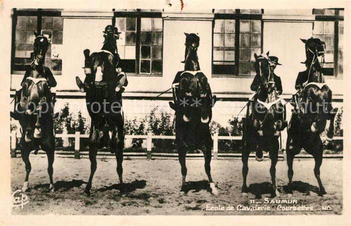 Saumur Ecole de Cavalerie Courbettes
