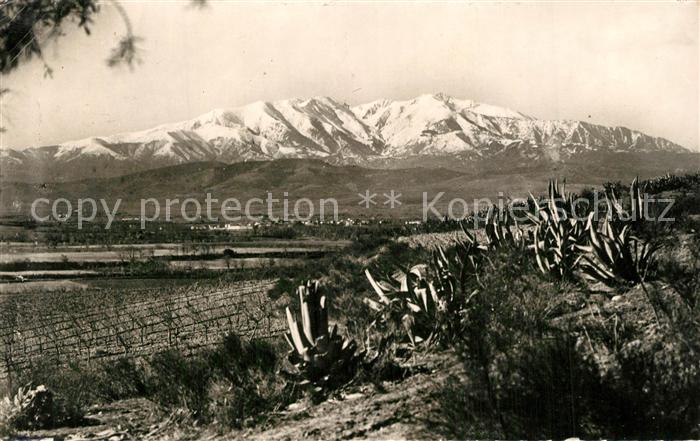 Perpignan Panorama de la plaine et le Canigou Cha