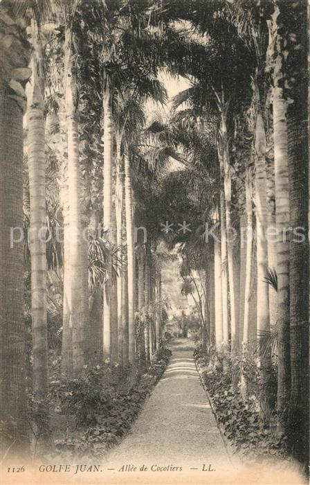 Golfe-Juan Vallauris 06 Alpes-Maritimes All?e de Cocotiers
