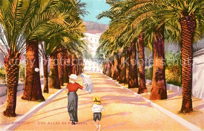 Menton Alpes Maritimes Une All?e de Palmiers