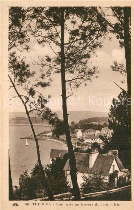 Treboul Douarnenez Vue prise au travers du bois d`Isis