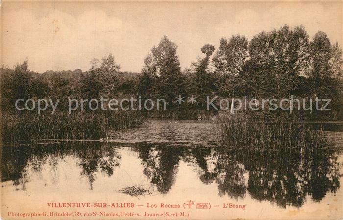 Villeneuve-sur-Allier Les Roches Etang