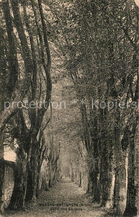 Villers-Cotterets Allee