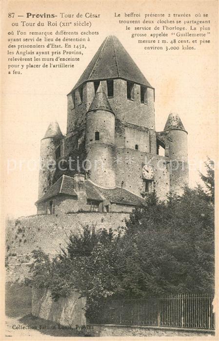 Provins Tour de Cesar