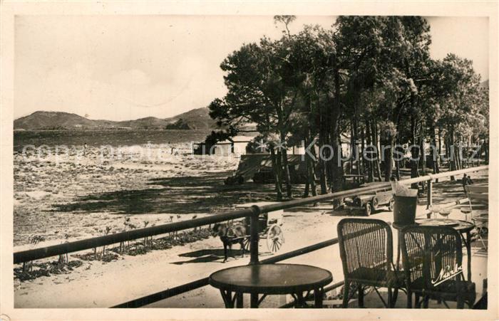 Argeles-sur-Mer La Plage et les Pins vus de la terrasse de l Hotel