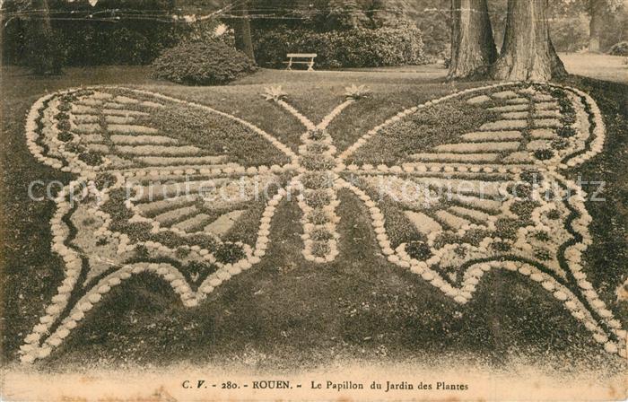 Rouen Le Papillon du Jardin des Plantes