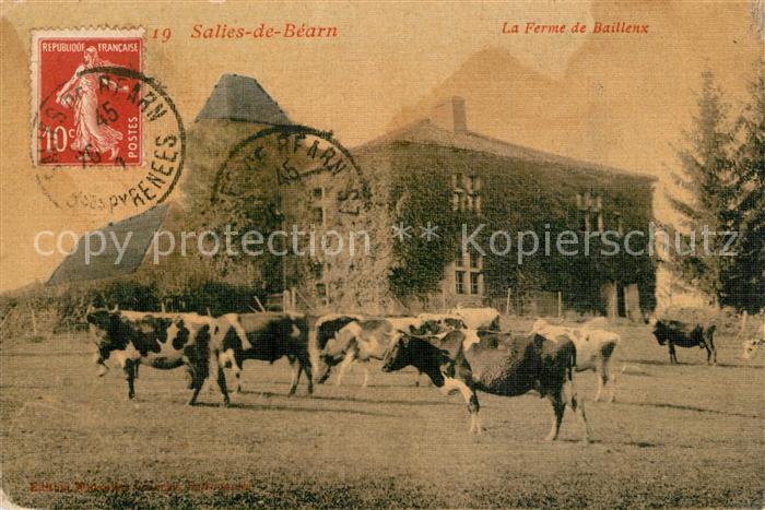 Salies-de-Bearn La Ferme de Baillenx