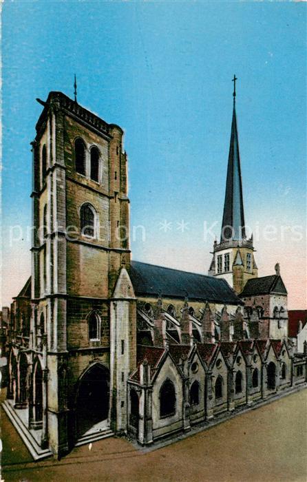 Auxonne La Cathedrale