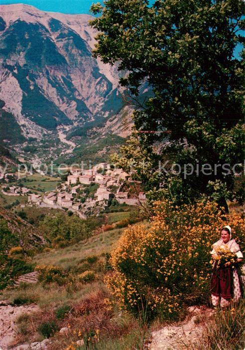 Mont Ventoux au pied Brantes et ses Genêts