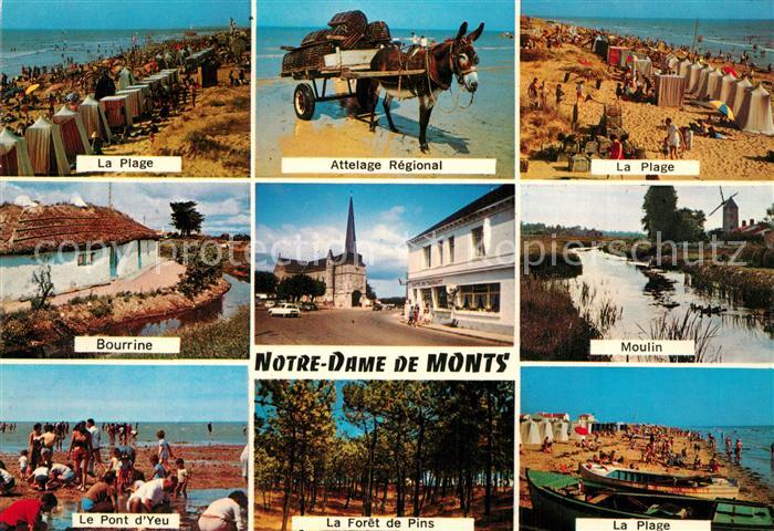 Notre-Dame-de-Monts Plage Bourrine Pont d_Yeu Attelage Egli