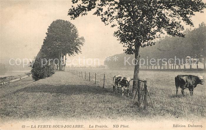 La Ferte-sous-Jouarre La Prairie des vaches Pâturage