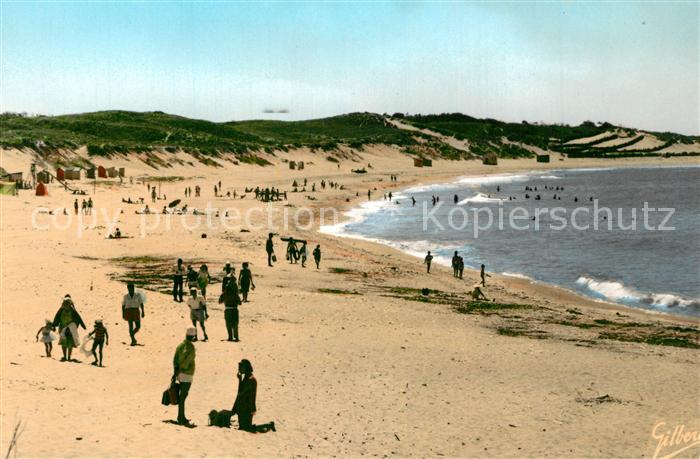 Ile d Oleron Plage de Domino