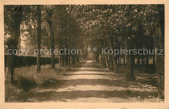 Chagny Saone-et-Loire Promenade des Mûriers