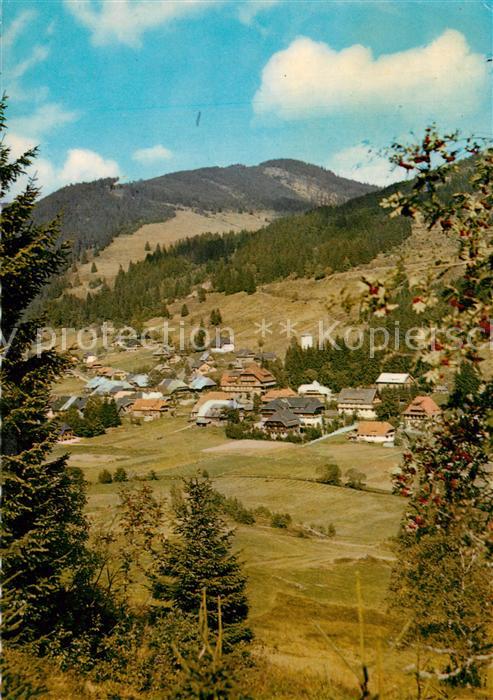 Menzenschwand Panorama Hoehenluftkurort im Schwarzwald