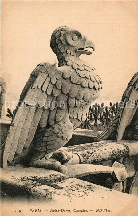 Paris Eglise Notre Dame une chimère