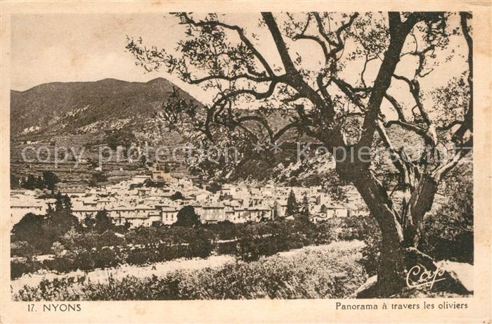 Nyons Drome Panorama a travers les oliviers