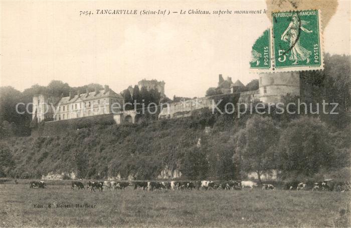 Tancarville Chateau Pâturage