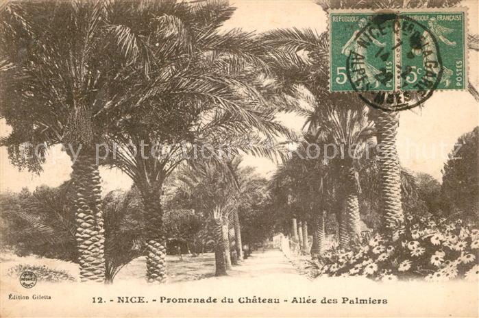 Nice Alpes Maritimes Promenade du Chateau Allée des Palmiers