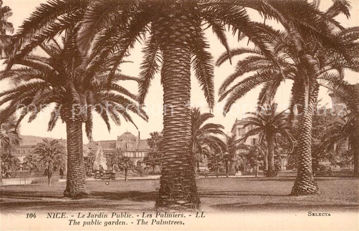 Nice Alpes Maritimes Jardin Public Palmiers