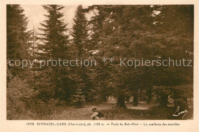 Sembadel Forêt du Bois Noir