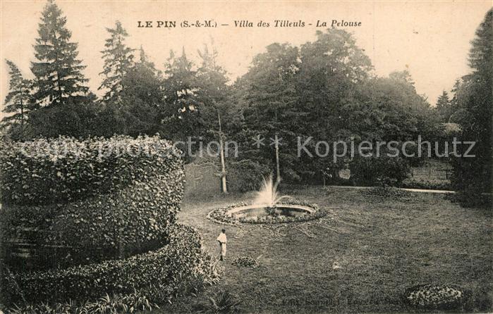 Le Pin Seine-et-Marne Villa des Tilleuls La Pelouse