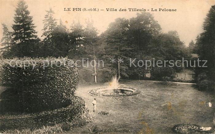Le Pin Seine-et-Marne Villa des Tilleuls La Pelouse