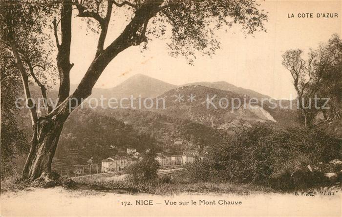Nice Alpes Maritimes Vue sur le Mont Chauve