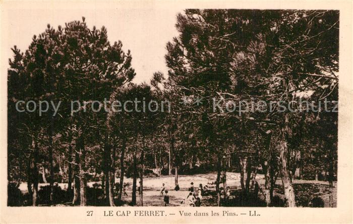 Cap-Ferret Lege-Cap-Ferret 33 Gironde Vue dans les Pins