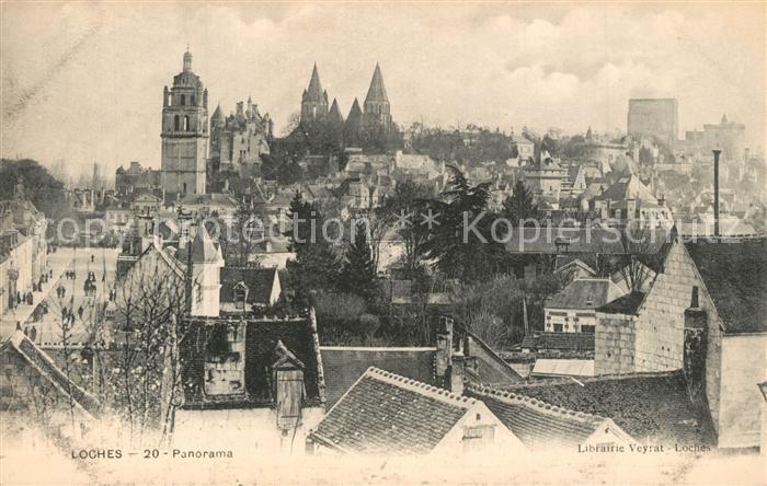 Loches Indre et Loire Panorama Chateau royal Monument histori