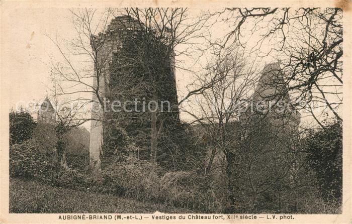 Aubigne-Briand Vestige du Chateau fort XIIe siècle
