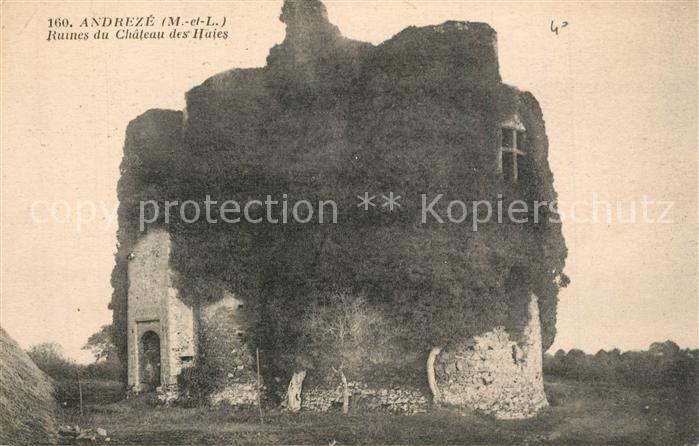 Andreze Ruines du Chateau des Haies