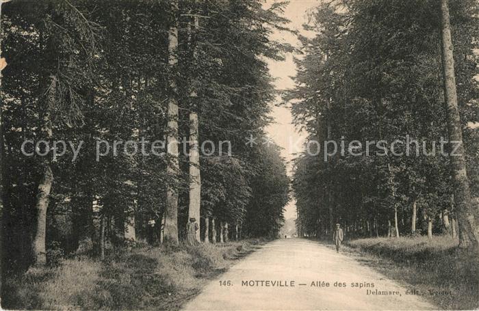 Motteville Allée des sapins