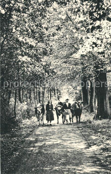 Nointot Orphelinat Le Hegarat