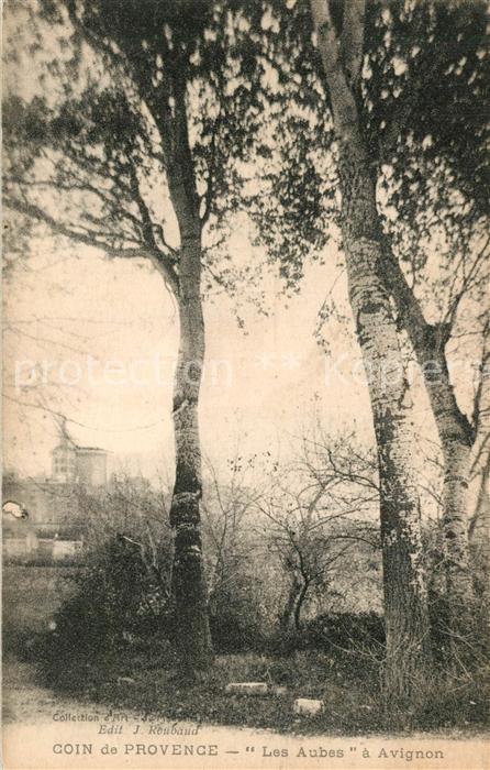 Avignon Vaucluse Les Aubes
