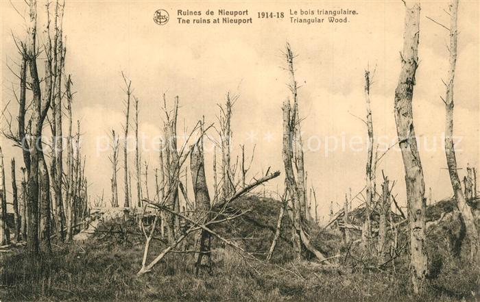 NIEUPORT Nieuwpoort West-Vlaanderen Belgie Ruines Bois Triangulaire
