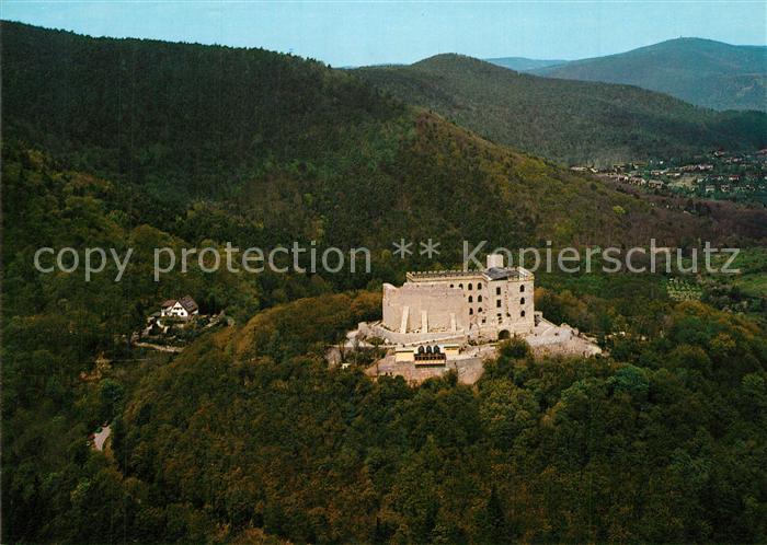 Hambach Neustadt Fliegeraufnahme Hambacher Schlo