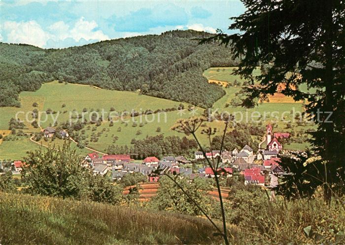 Schuttertal Panorama