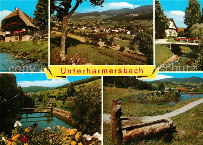 Unterharmersbach Brunnen Teich Panorama