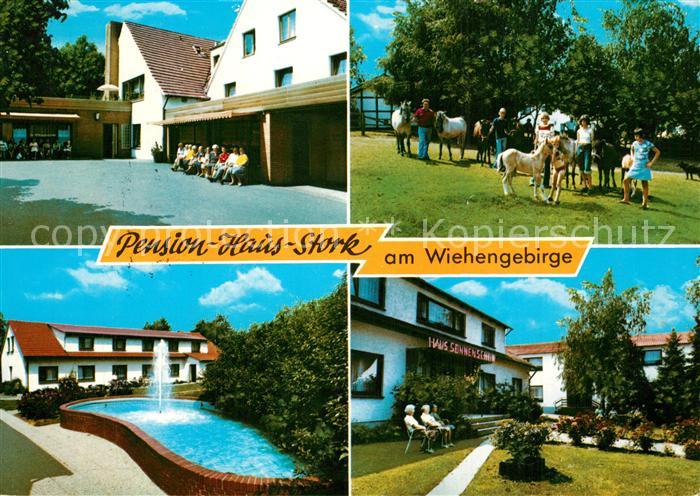 Bad Holzhausen Luebbecke Pension Haus Stork am Wiehengebirge