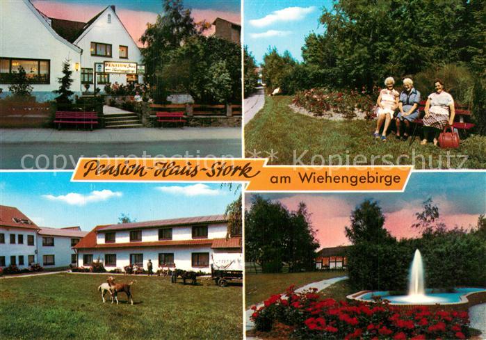 Bad Holzhausen Luebbecke Pension Haus Stork Park Brunnen