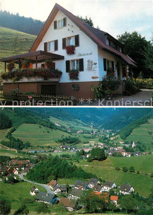 Simonswald Simonswaeldertal Haus Blumeneck Fliegeraufnahme