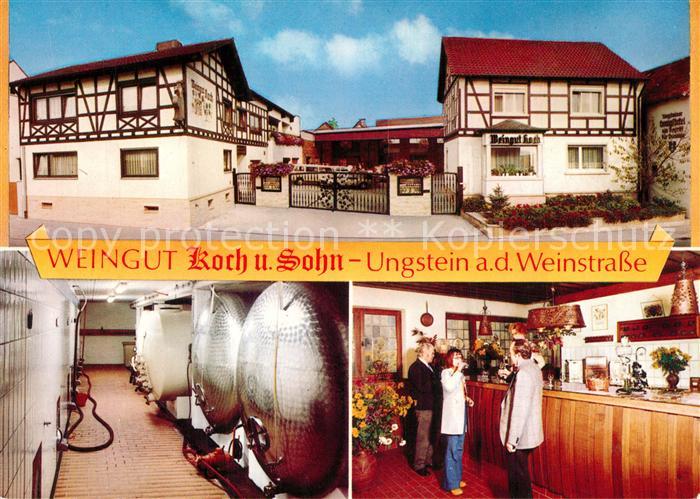 Ungstein Weingut Koch und Sohn Weinkeller Probierstube